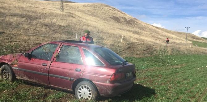 Otomobil Tarlaya Devrildi : 2 Yaralı