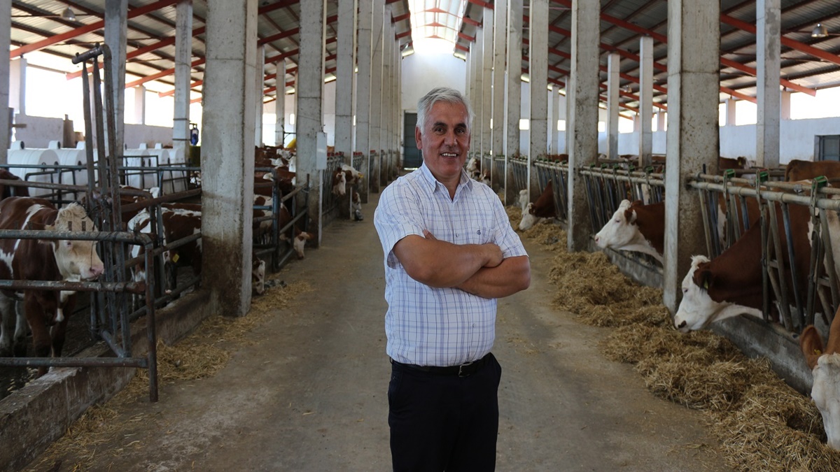 Bayat’ta AB Standartlarında Çiftlik Var