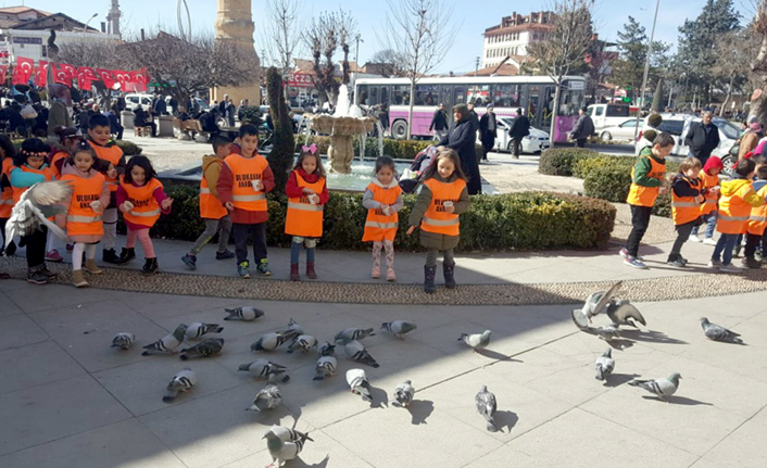 Minikler Kuşları Besledi