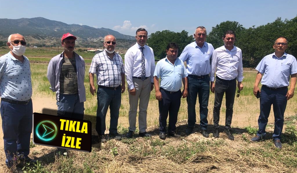 “Çeltik Üreticilerinin Mağduriyeti Giderilmelidir”
