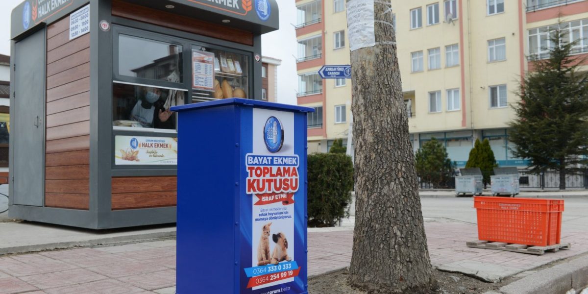 Bayat Ekmekler İsraf Olmuyor