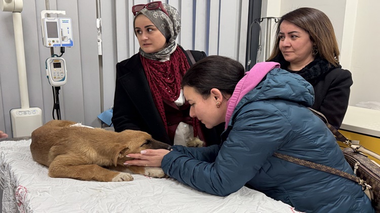 Belediye’nin Hızlı Müdahalesi Gönülleri Fethetti