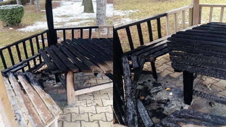 Parktaki Kamelyaları Ateşe Verdiler