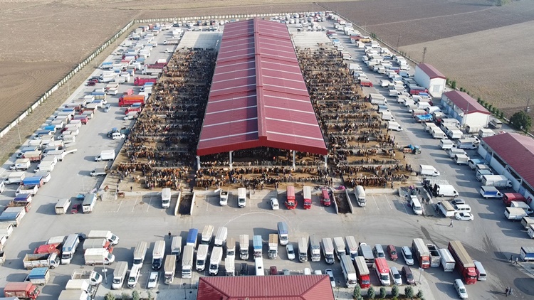 Kurban Pazarı Cumartesi Günü Açılıyor