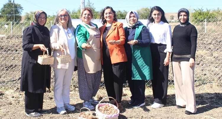 BizimOra Kadın Girişimi’nden “II. Safran Dikimi” Etkinliği
