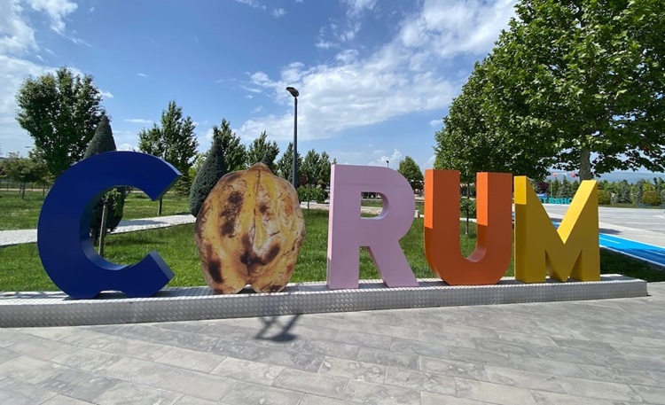 Çorum, İlçeleriyle Birlikte Gelişirse Büyüyecek